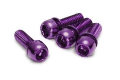 Reverse Schrauben Set Für Scheibenbremse M6 X 18mm - 4 Stück - Purple
