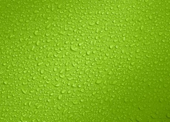 Deuter LIGHT DRYPACK 1 - Citrus -Fahrradbekleidung Und Zubehör 3940021 8006 LightDrypack1 citrus D 01YzUvKiiKdNOGR