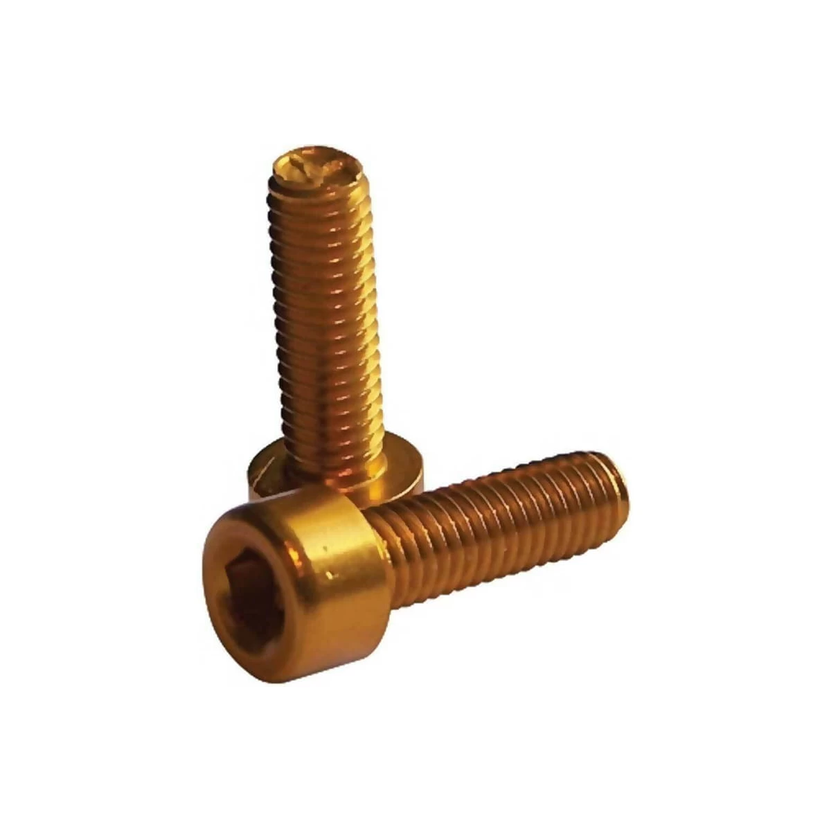 Flaschenhalter Schrauben M5 X 15 - Gold 1 Flaschenhalter Schrauben M5 X 15 - Gold